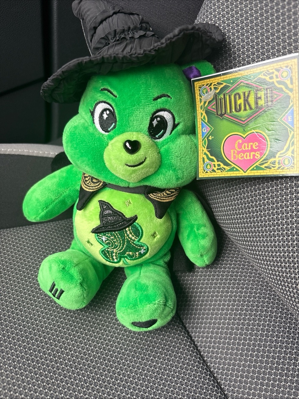 Care Bears Wicked Witch Green Plush with Embroidered Witch Motif